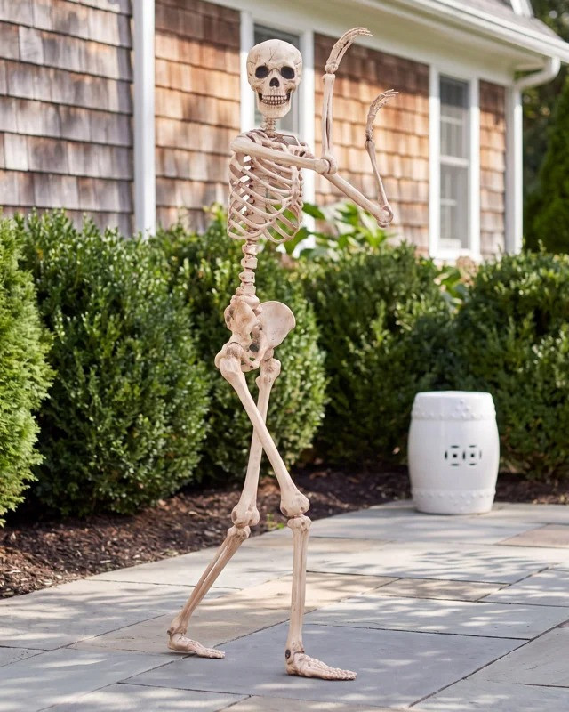 Serving luxury haunted house energy 🖤🦴 These Halloween skeleton finds are giving elevated, chic, and slightly spooky in the BEST way. From the iconic 12 foot skeleton making a bold statement to designer-inspired skeleton decor from Pottery Barn and Birch Lane, this edit is all about high-end vibes. I mixed in a few curated Amazon and Etsy pieces that look expensive but still fit the aesthetic. Think neutral tones, minimal styling, and effortlessly spooky elegance… obsessed 😍

#luxuryhalloween #halloweendecor #skeletondecor #12footskeleton #giantskeleton #potterybarnstyle #birchlanestyle #amazonhomefinds #etsychic #spookyseason #halloweenaesthetic #elevateddecor #ltkhome #ltkfall #ltkseasonal #designerinspo #cozyspooky #neutralhome #halloween2026 

 #LTKSeasonal #LTKHome #LTKSaleAlert