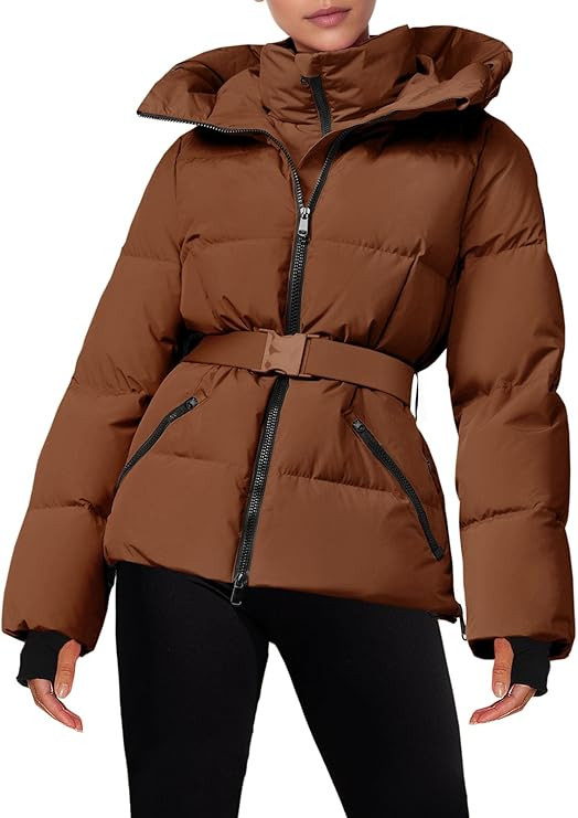 Fisoew Womens Ski Jacket Warm Hooded Insulated Waterproof Quilted Puffy Mountain Snow Winter Coat... | Amazon (US)