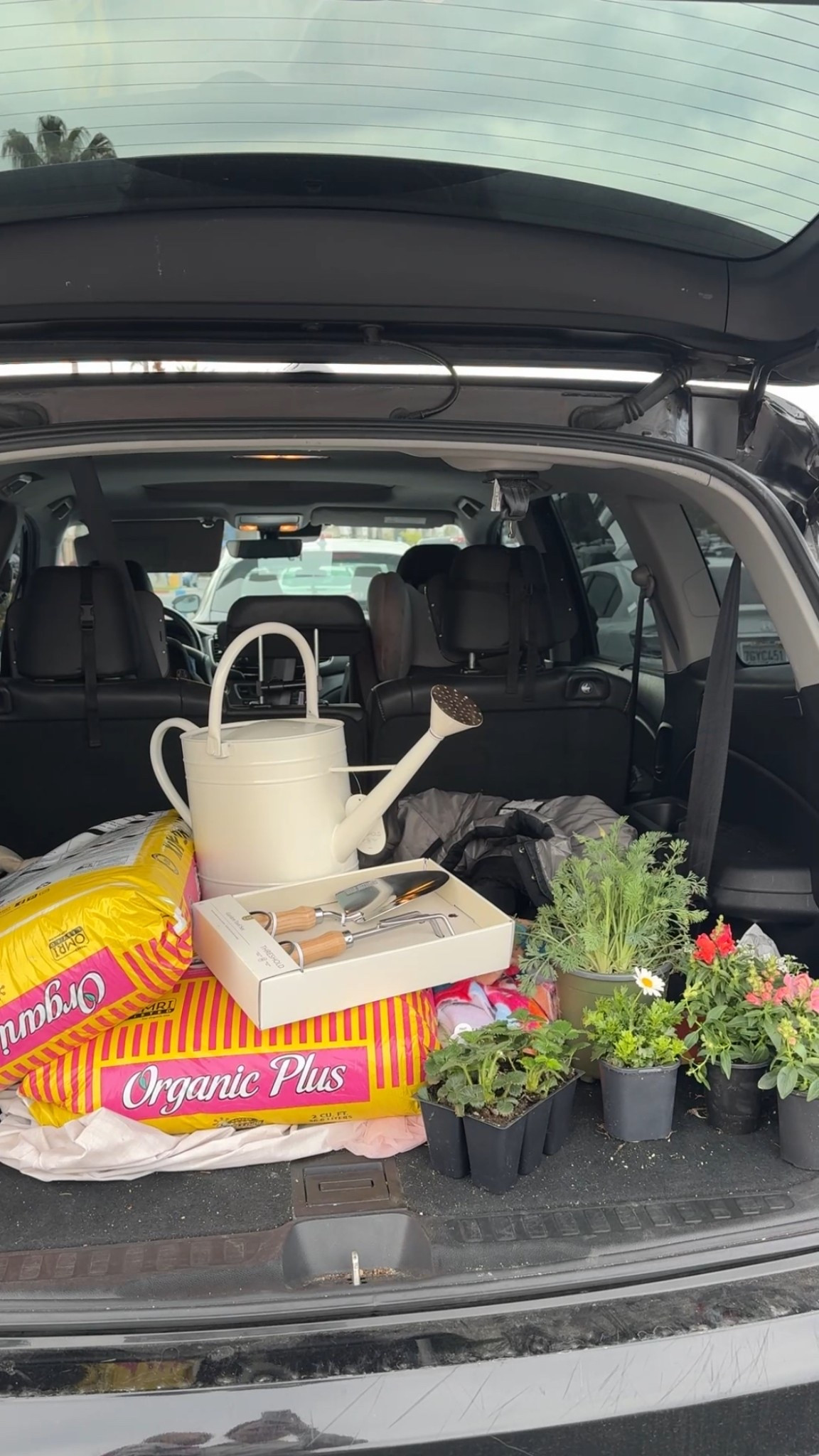 Outdoor plants, patio furniture, garden, gardening tools 

#LTKHome #LTKSeasonal #LTKFindsUnder50