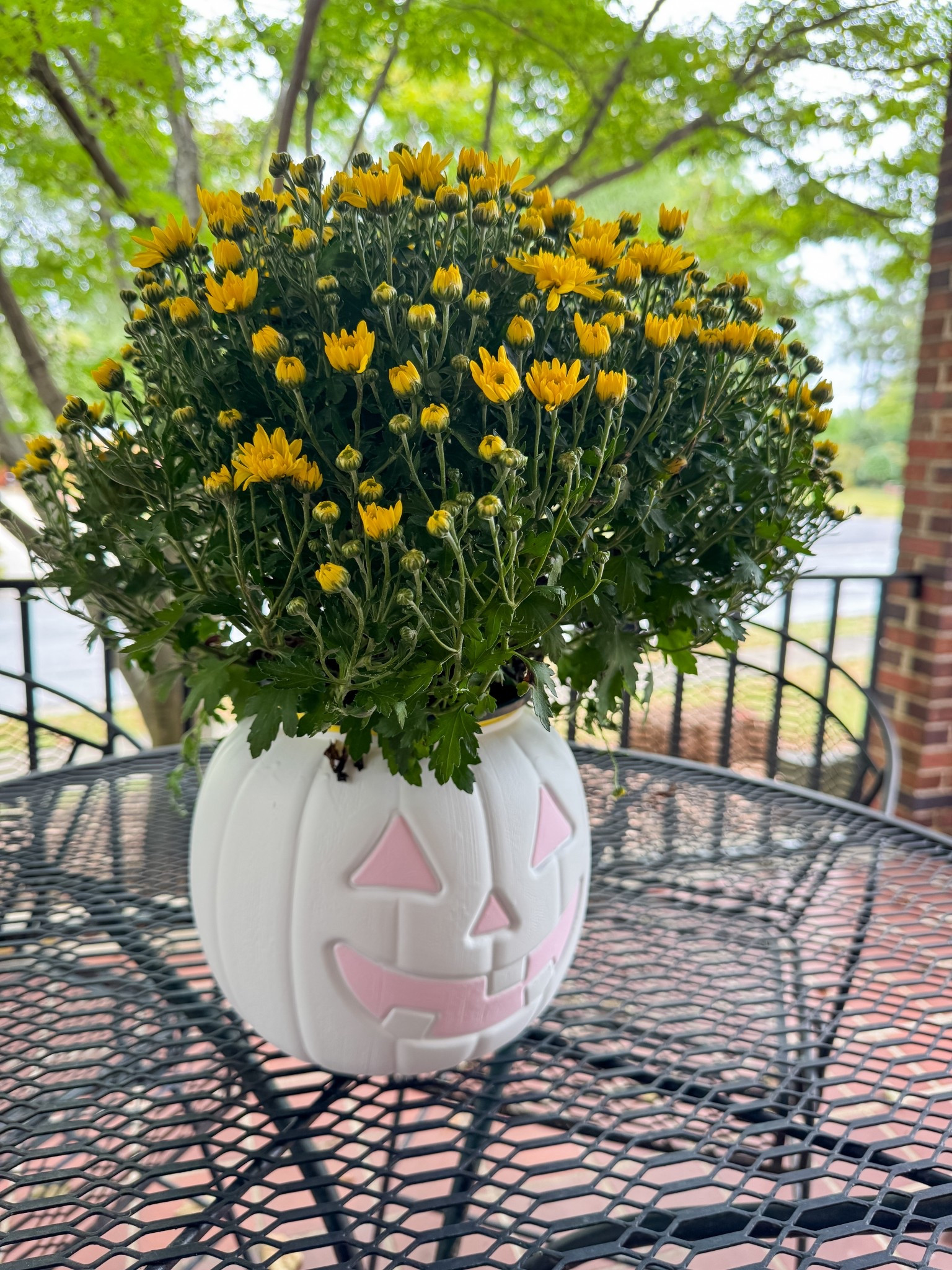 Easy fall decor! Spray paint and a mum! We also removed the black handle and you can tie a ribbon or bow around the top!

Fall Table Decor
Table scape
Halloween Decor
Fall Decor
Fall Flower Arrangement 

#LTKSeasonal #LTKFindsUnder50 #LTKHalloween