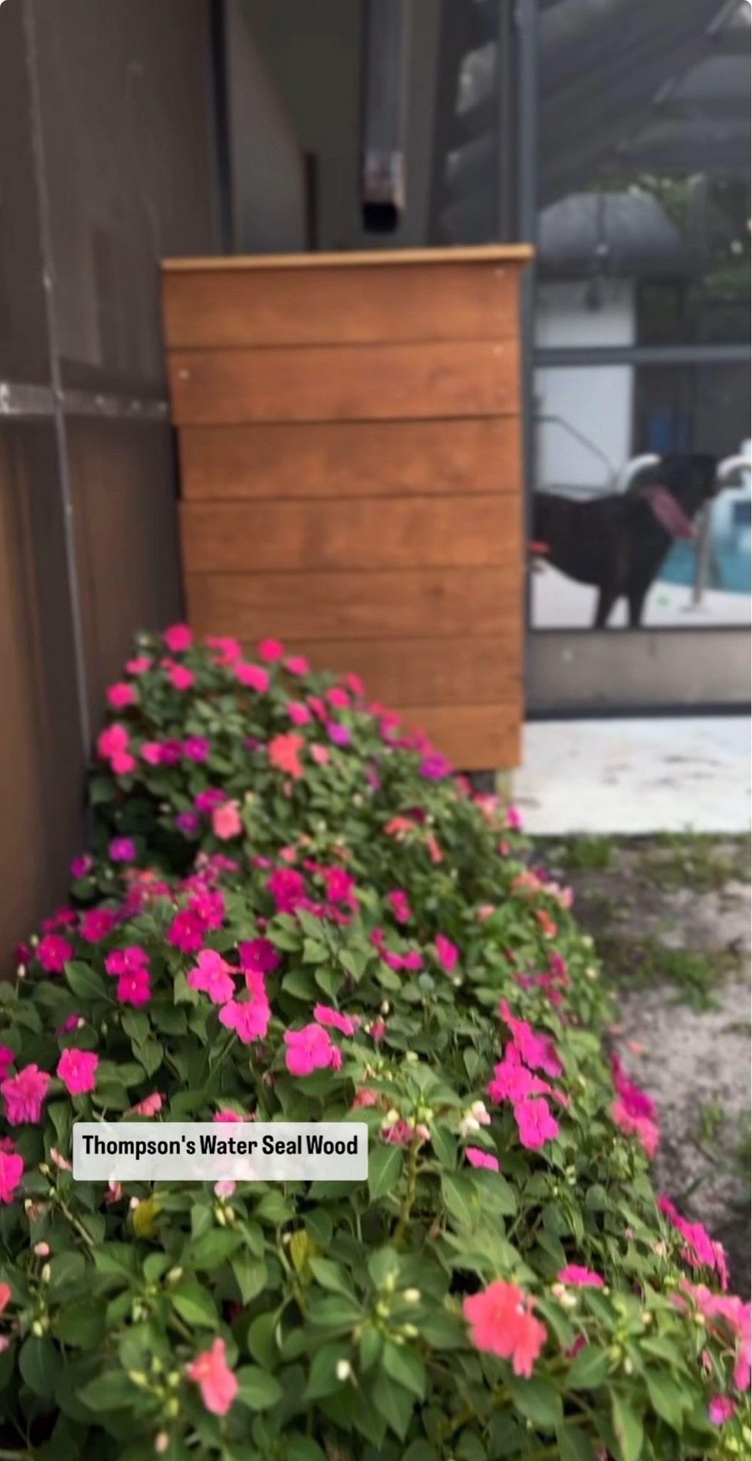 Love the results ✨

#LTKBeauty #LTKHome #LTKSeasonal