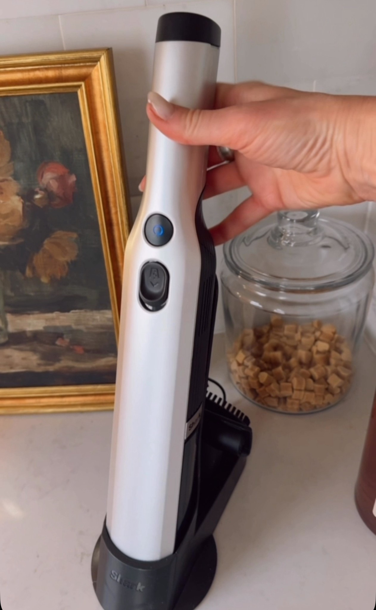 The best gift idea!! Today’s special value @qvc! This thing has so much suction. It’s amazing for cars too! #ad #loveqvc 

#LTKHoliday #LTKCyberWeek #LTKGiftGuide