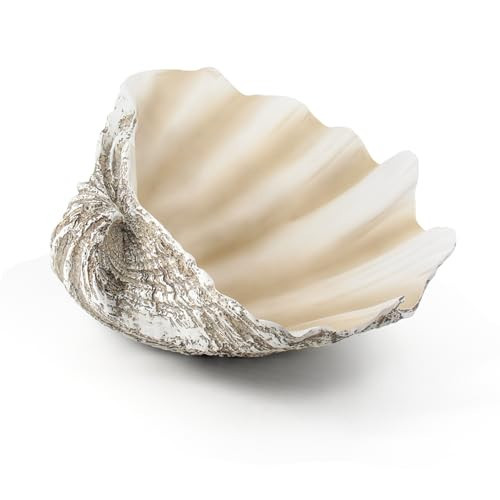 Large Mud Gray Clam Shells Decorative Bowl,Weathered style ClamShell Bowl Beach Decorations for Home Coastal Beach Decor Decoration Storage Bowls & Home Office Nautical Themed Party Decor -10.2"-1PC | Amazon (US)