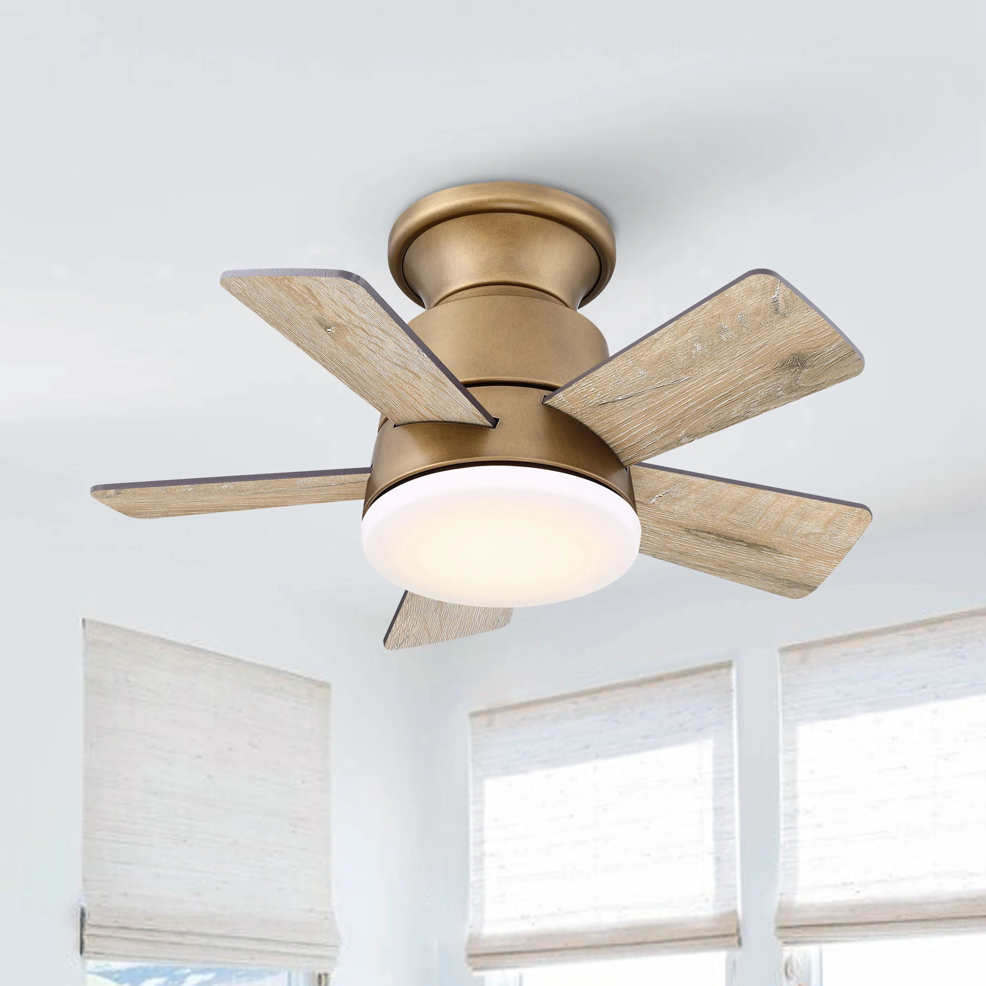 Tavontae 24'' Ceiling Fan with Dimmable 3CCT LED Lights and Remote Control | Wayfair North America