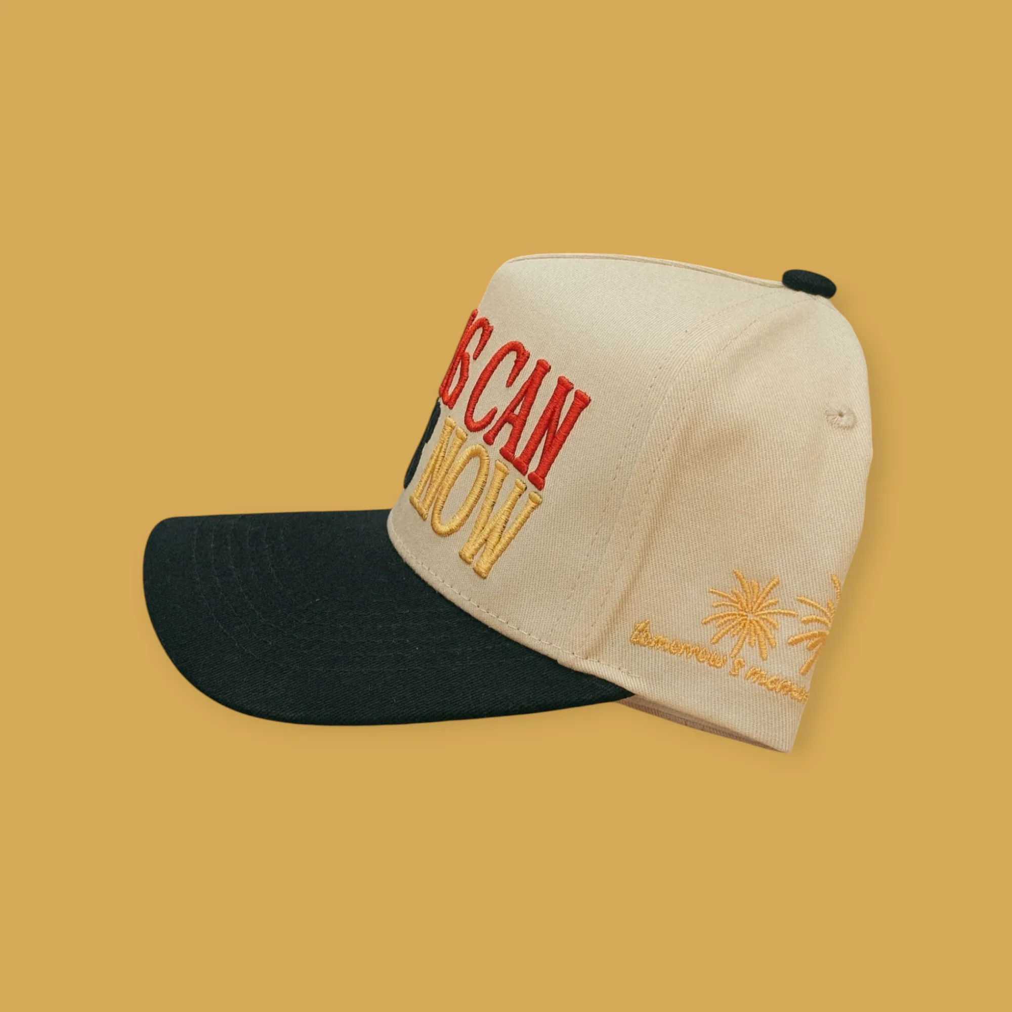 NOTHING CAN STOP US NOW HAT | Tomorrow's Memories Club