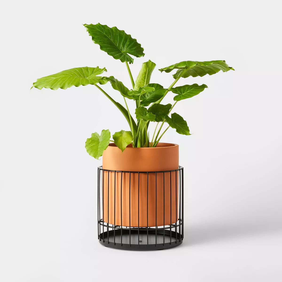 Hilton Carter for Target with Metal Stand Indoor Outdoor Planter | Target