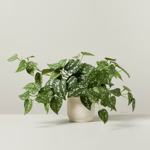 10" Faux Satin Variegated Pothos Plant - Hearth & Hand™ with Magnolia: Indoor Decorative Artifi... | Target