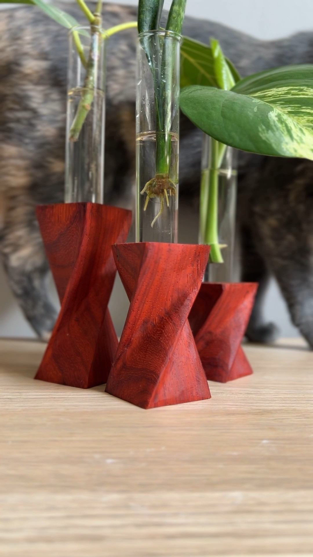 Candle Holders/Propagation stations

#LTKhome