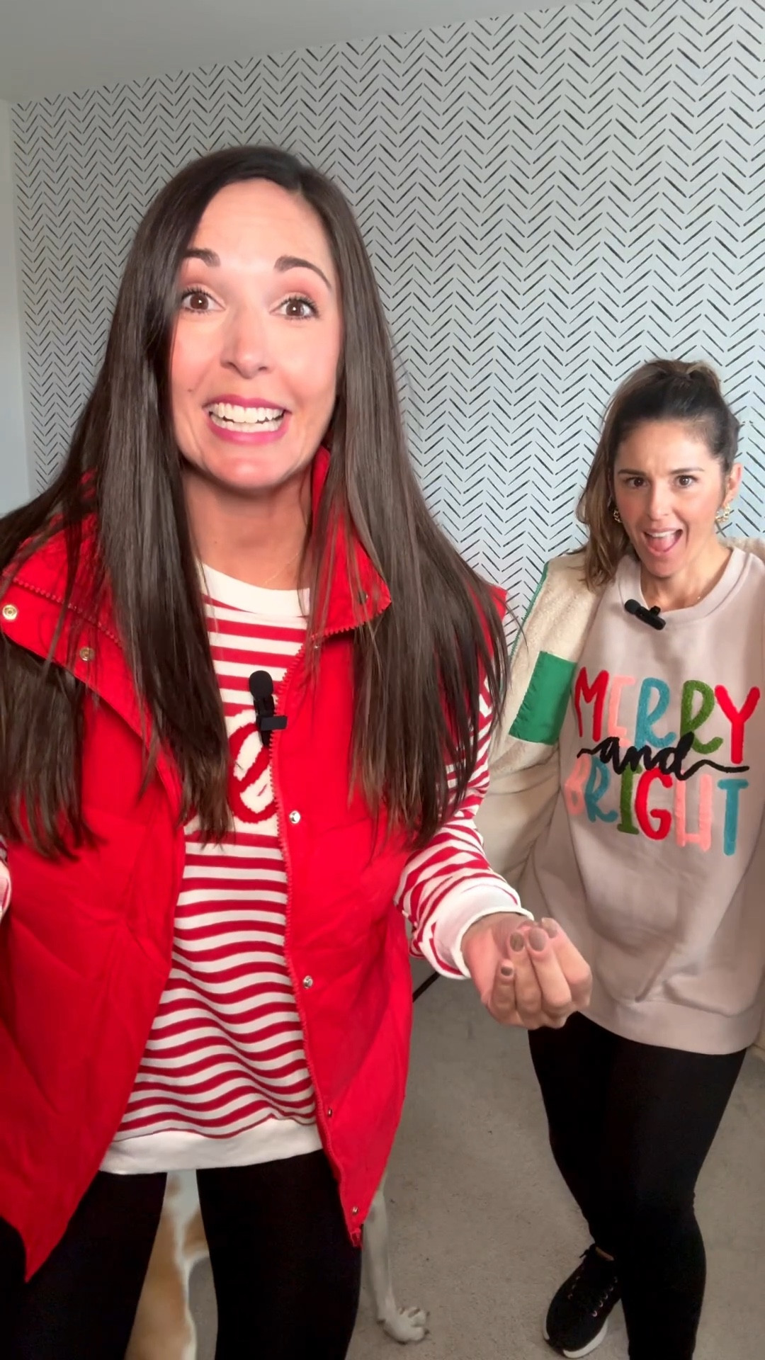 This is my favorite time of year! I must have a dozen holiday sweatshirts or tshirts in my closet and I get a new one each year as a treat to myself 😜
I like to wear them out running errands, to my kids school functions, to holiday parties… anything goes in December!

#LTKHoliday #LTKFindsUnder50 #LTKStyleTip