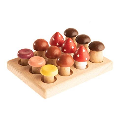 The Mushroom Glade Educational game, Baby & Toddler Toys | Amazon (US)