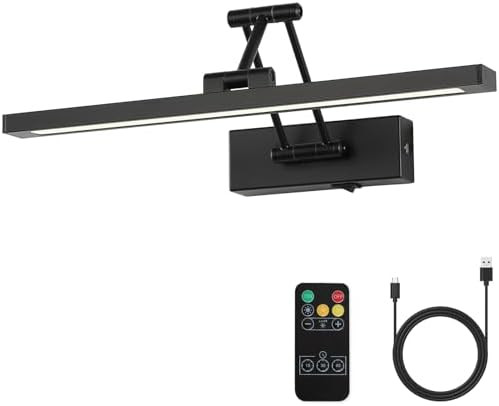 Black Picture Lights for Paintings Dimmable Gallery Light Hardwired LED Wall Art Lighting Display... | Amazon (US)