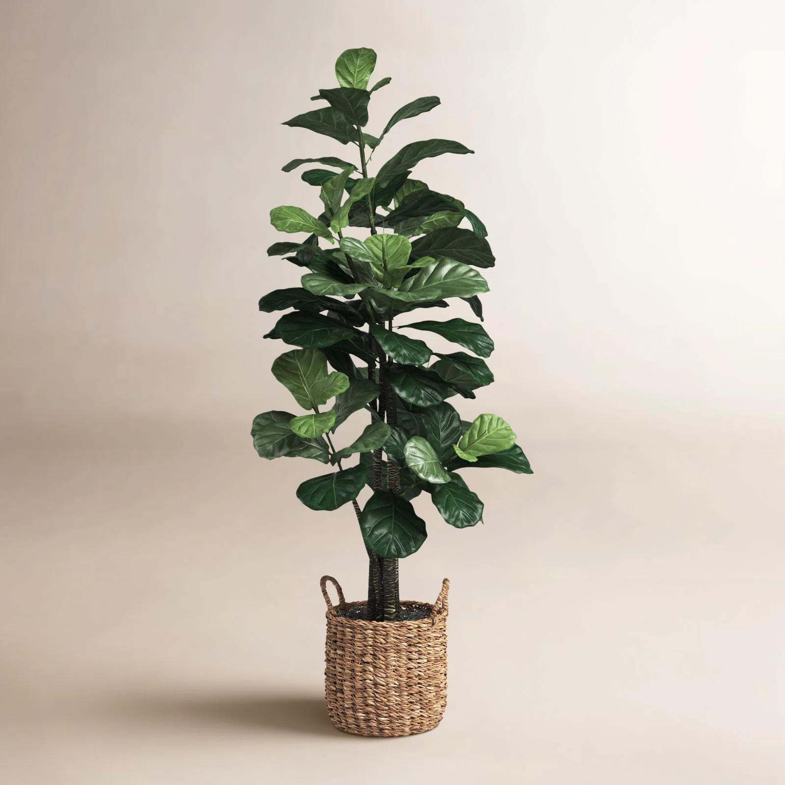 66'' Faux Fiddle Leaf Fig Tree in Wicker/Rattan Basket | Wayfair North America