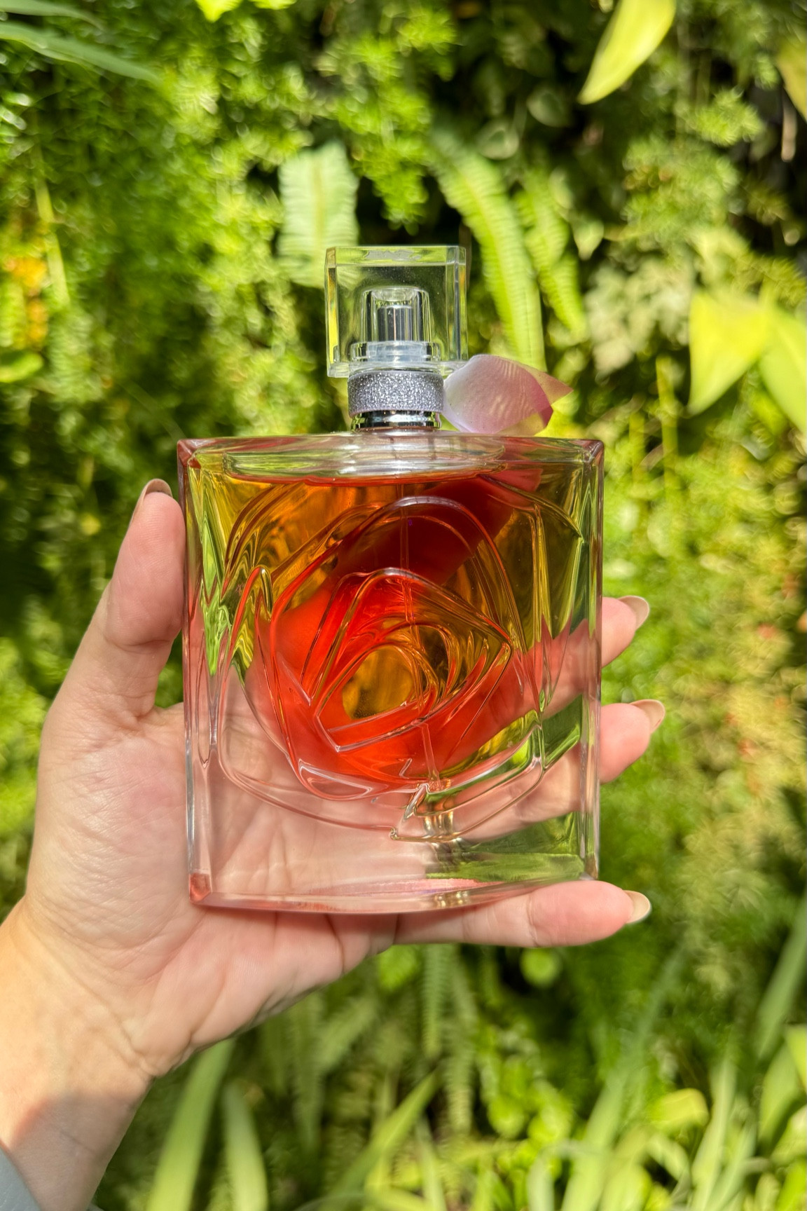 A beleza deste frasco ! Iconic ✨

#LTKGiftGuide #LTKbeauty #LTKbrasil