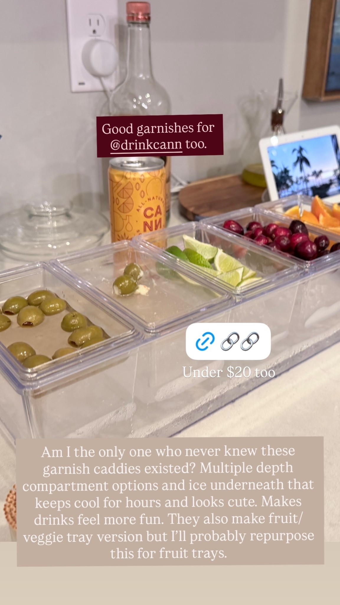 Under $20 too Am I the only one who never knew these garnish caddies existed? Multiple depth compartment options and ice underneath that keeps cool for hours and looks cute. Makes drinks feel more fun. They also make fruit/veggie tray version but I’ll probably repurpose this for fruit trays.  Good garnishes for @drinkcann too.

#LTKHome #LTKHoliday #LTKfoodie