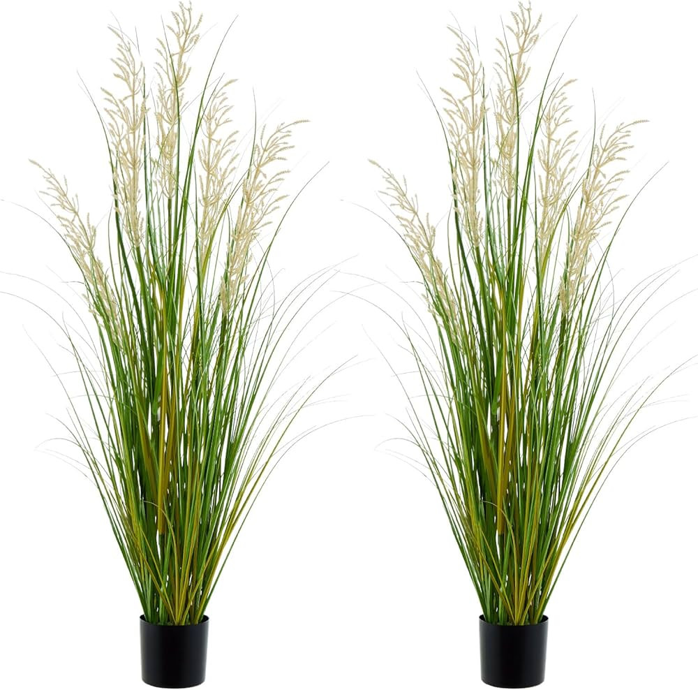Artificial Plant 47in Tall 2pk Grass, Onion Grass Artificial Greenery Floor Plants Faux Pampas Gr... | Amazon (US)