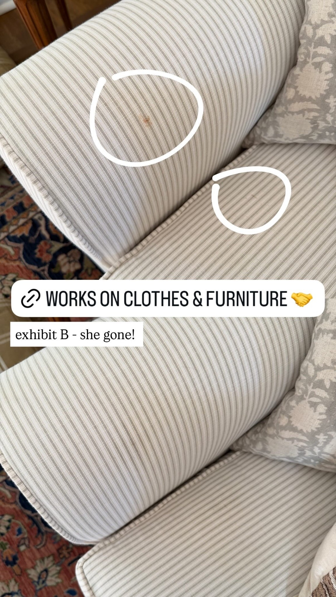 exhibit B - she gone! works on clothes & furniture

#LTKHome #LTKKids #LTKmomlife