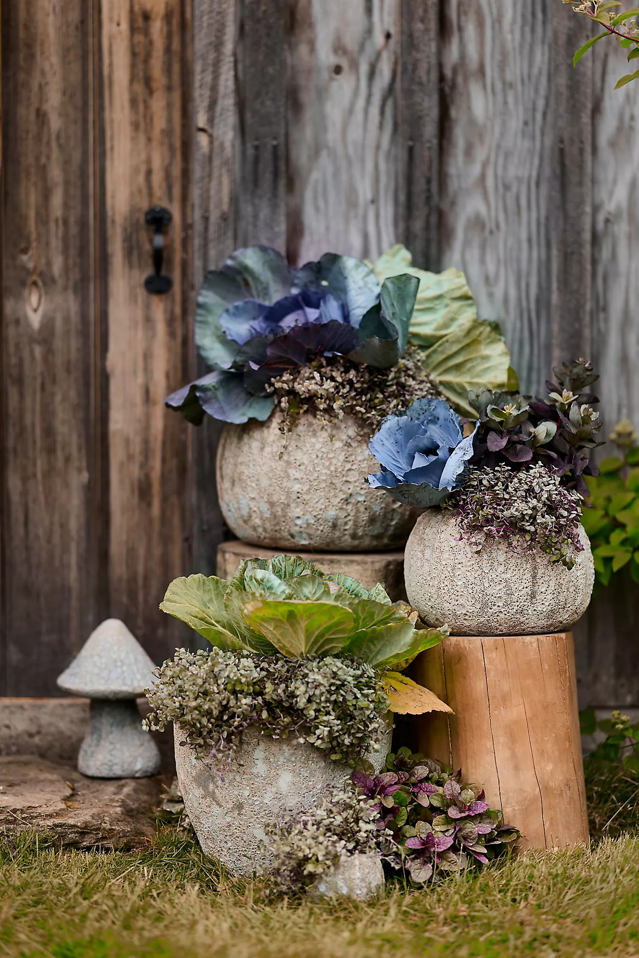 Barnacle Pumpkin Planter | Terrain
