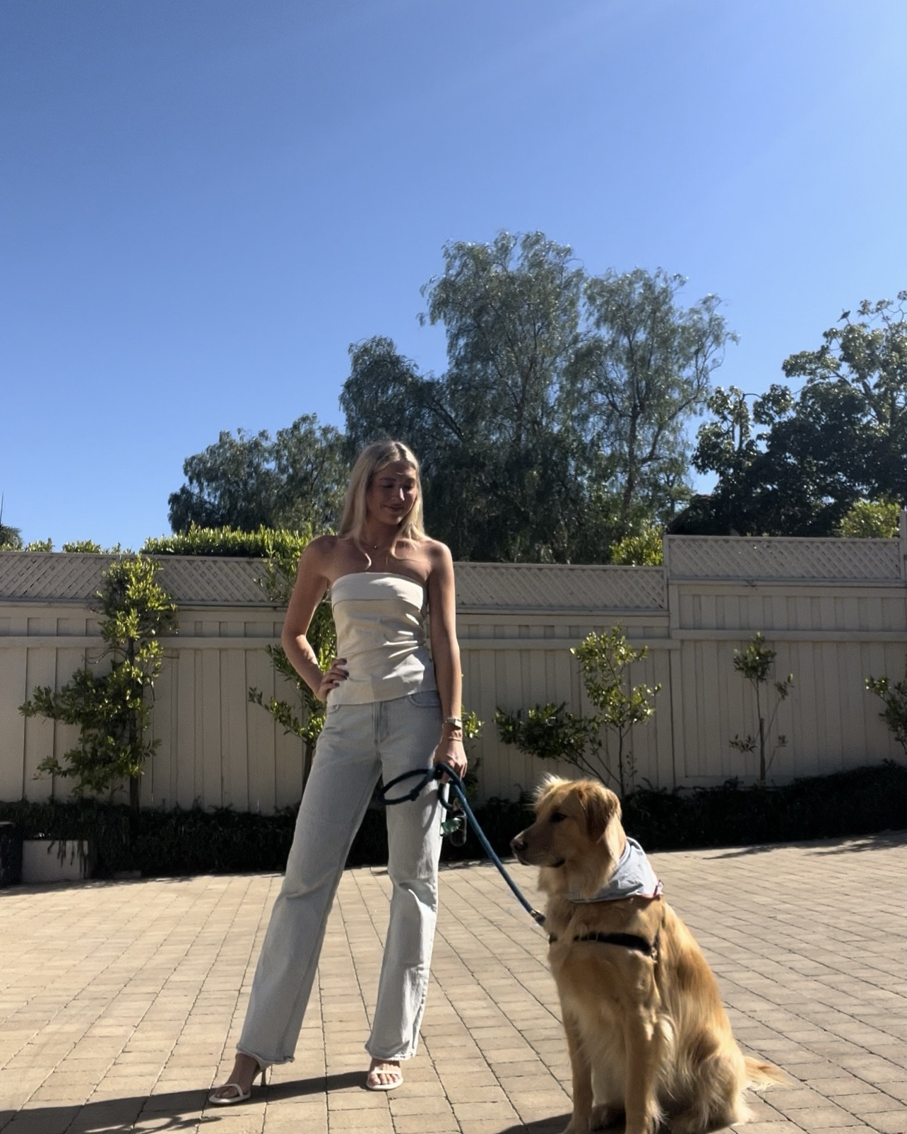 The best low rise jeans 

#LTKStyleTip #LTKFindsUnder100 #LTKSeasonal