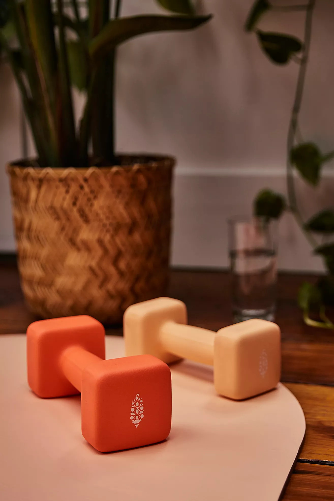 FP Movement 10 lb Dumbbell | Free People (Global - UK&FR Excluded)