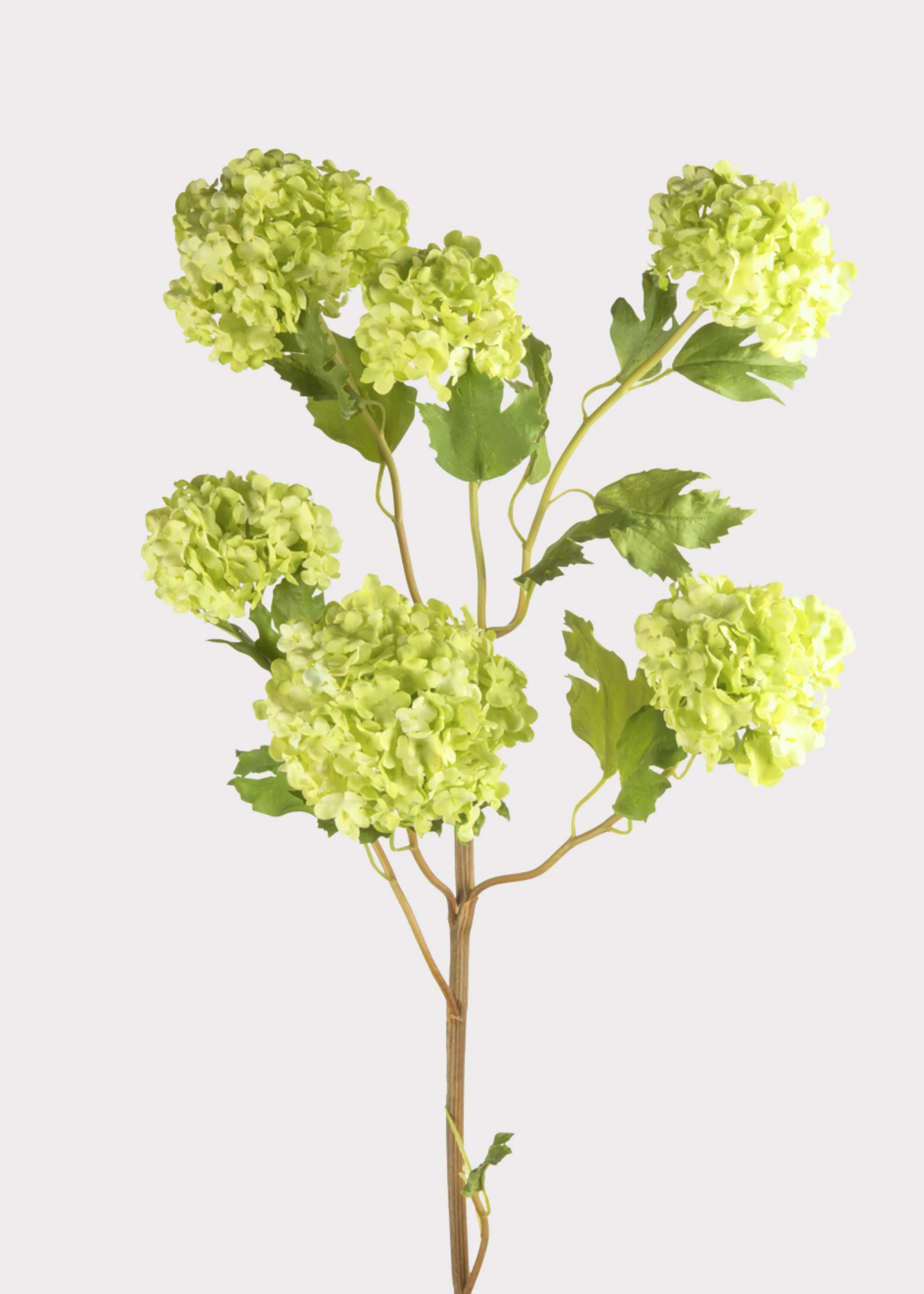 Faux Flowers Snowball Flower Stem in Green - 43.5 | Afloral