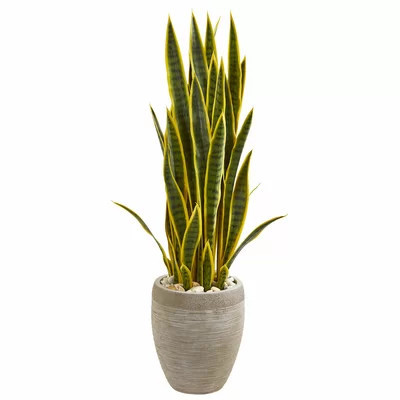 Sansevieria Artificial Snake Plant in Planter | Wayfair North America