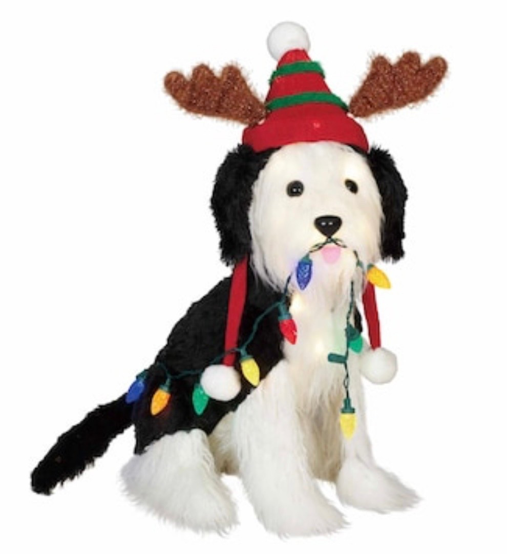 Loving this Shaggy dog Christmas lawn decor
50 LED Warm white lights
40pcs warm white LED lights + 10pcs LED C7 string lights
Metal lawn stakes included
Lowe’s 

#LTKPets #LTKSeasonal #LTKHome