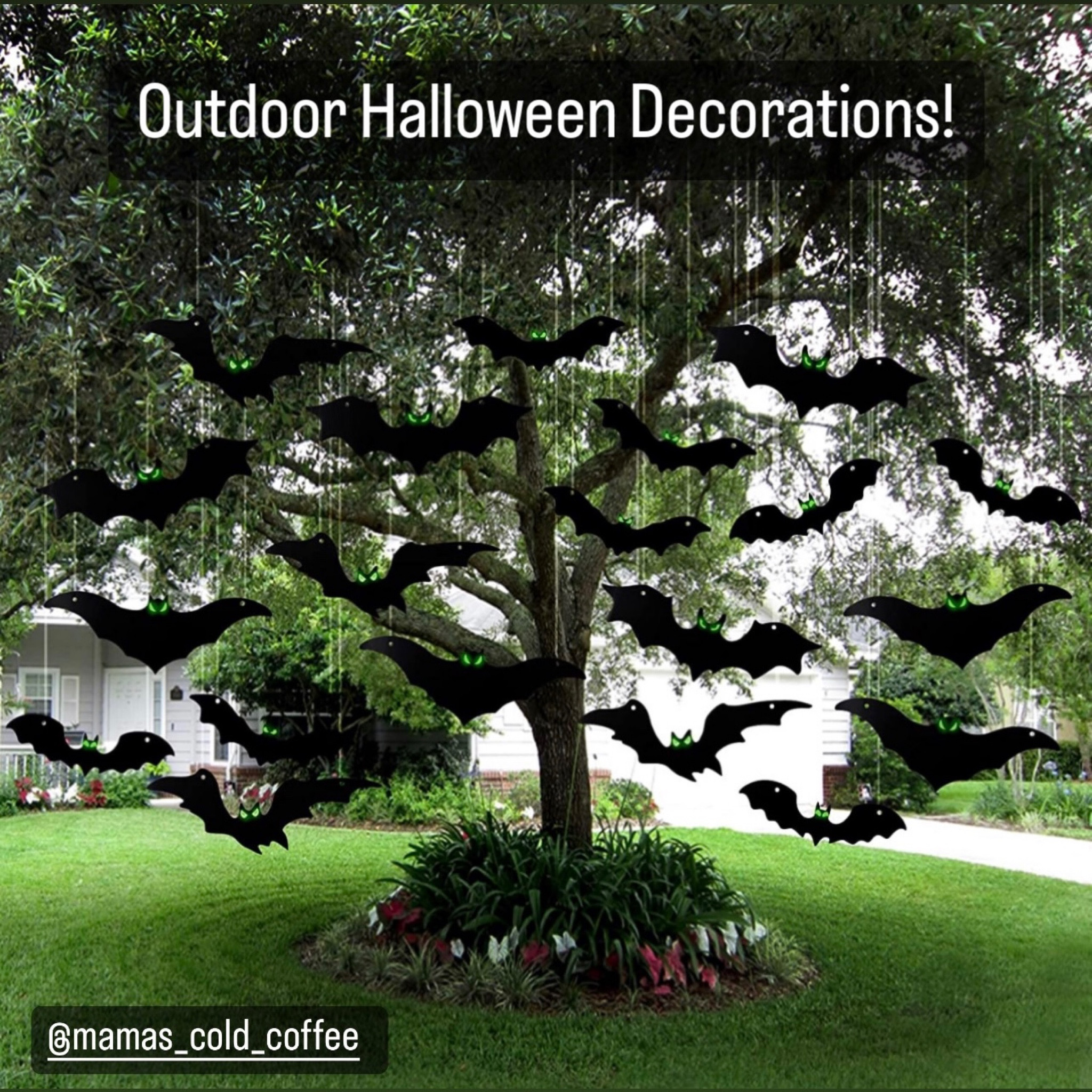 #LTKGiftGuide

#LTKHalloween #LTKSeasonal