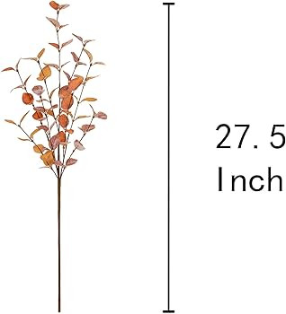 Multi Color | Amazon (US)