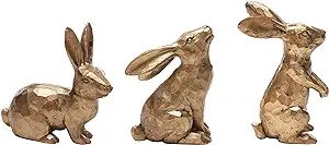 DN DECONATION Golden Polyresin Bunny Decor Rabbit Figurines, Easter Bunny Statue Set of 3 for Spr... | Amazon (US)