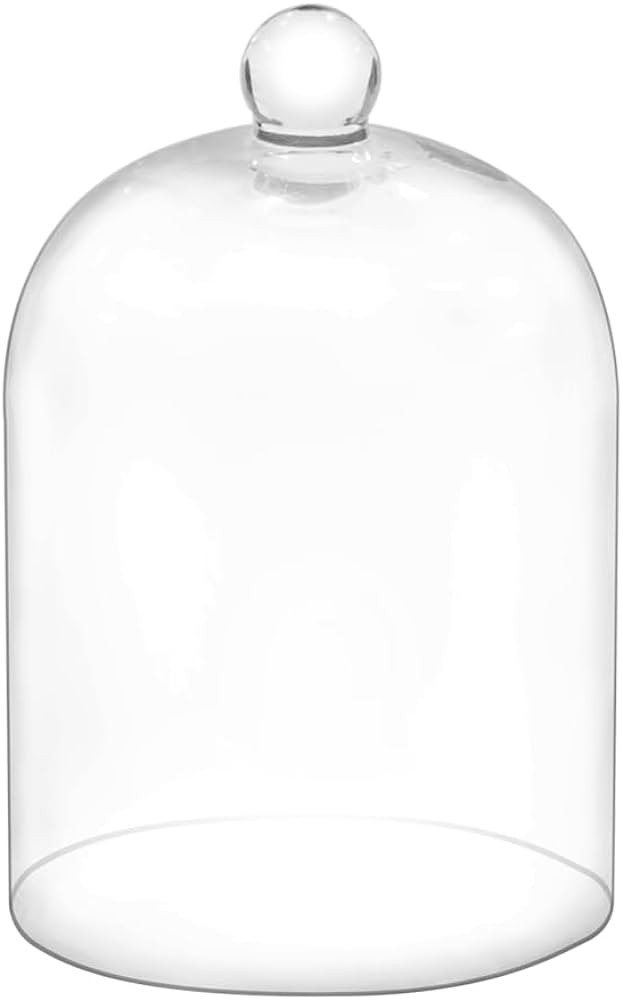 Amazon.com: 7.5" Tall Handmade Glass Cloche, Thick & Sturdy, Dia 5"xH 7.5", For Terrarium, Plants... | Amazon (US)