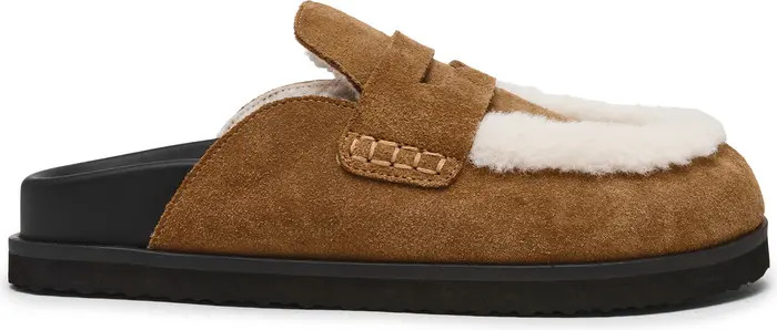 Steve Madden Tomlin Faux Fur Trim Mule (Women) | Nordstrom | Nordstrom