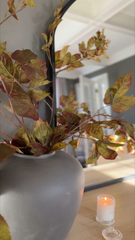 If you’re looking for one faux floral stem to create warmth and moodiness in your home, keeping it organic and earthy, let it be these! I love these Afloral eggplant ivory leaf branches. They’re perfect for all year round and truly capturing the warmth in any room. Use code LAH20 to save! 

#LTKstyletip #LTKsalealert #LTKhome