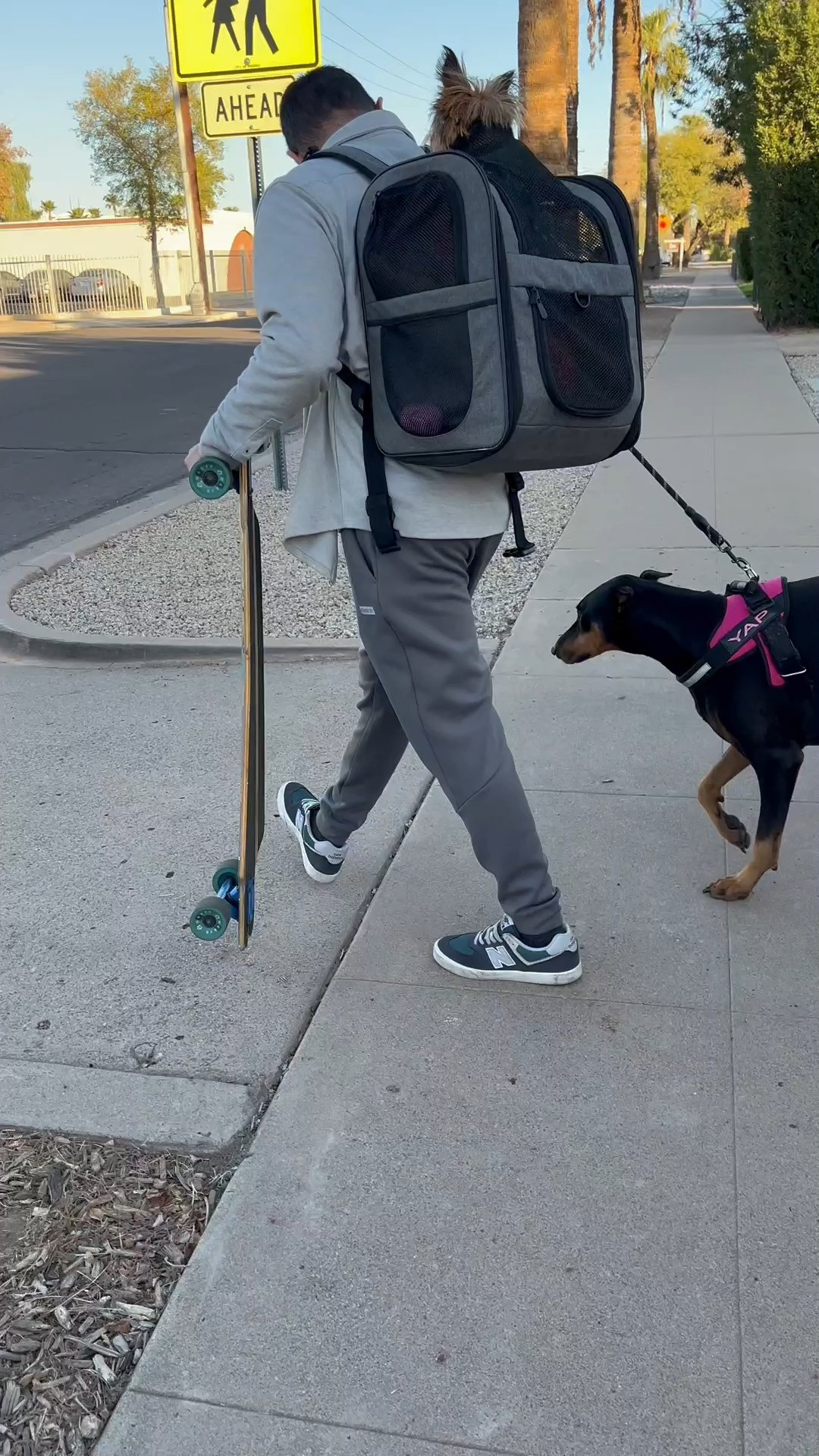 Dog essentials you need today for your fur babies. Beds, poop baggies, backpacks, leashes

#dog
#cat
#pet 

 #LTKHome