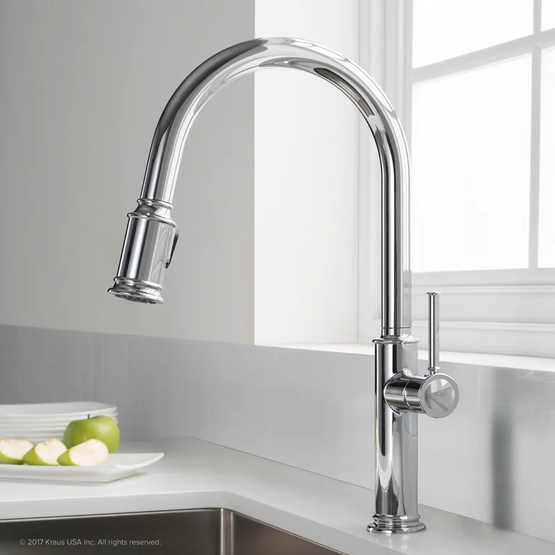Sellette Pull Down Single Handle Kitchen Faucet | Wayfair North America