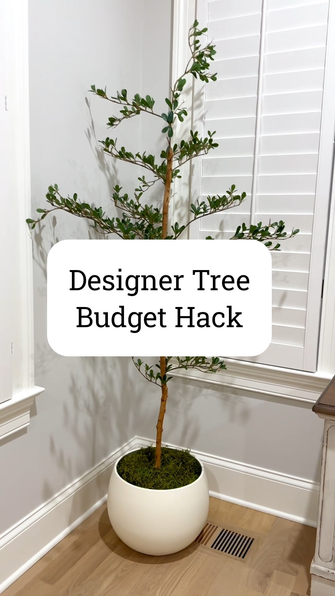 designer tree on a budget! 6ft option!

#LTKSpringSale #LTKHome #LTKSaleAlert
