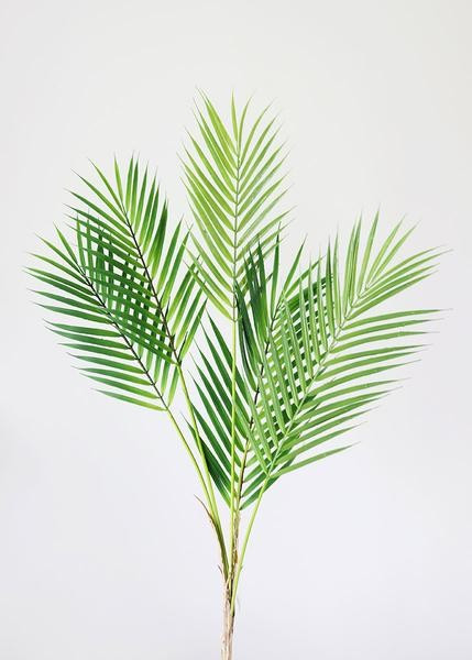 Indoor/Outdoor Fake Plastic Palm Leaf Plant - 35" | Afloral (US)