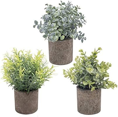 THE BLOOM TIMES Set of 3 Small Potted Artificial Plants Plastic Fake Greenery Faux Plants in Pots... | Amazon (US)