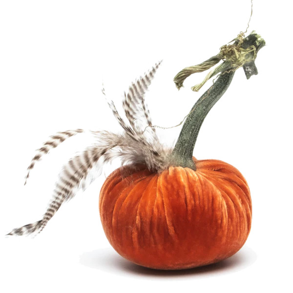 4" Persimmon w/Chinchilla Feather Plume | Hot Skwash