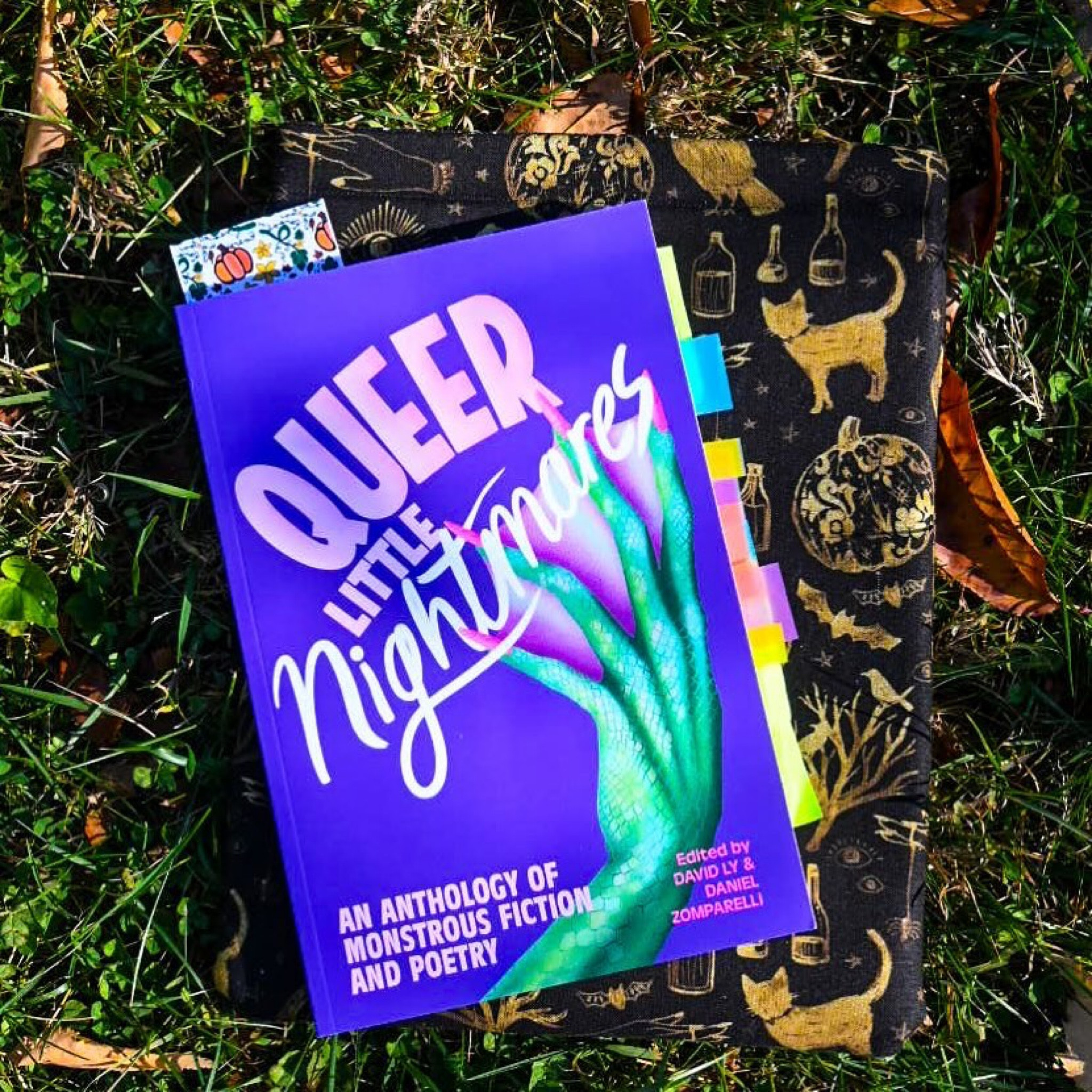 finishing up the last book for my last reading vlog of October! 🍃🧟🧞‍♀️🧛🏻‍♂️

#QueerBooks #QueerLittleNightmares #QueerAnthology 
 
Image description: A flat lay image of the book, “Queer Little Nightmares” lying in the grass with leaves scattered. The book rests on top of a black and gold Halloween themed book sleeve with illustrations of pumpkins, potions, crows, and bats.