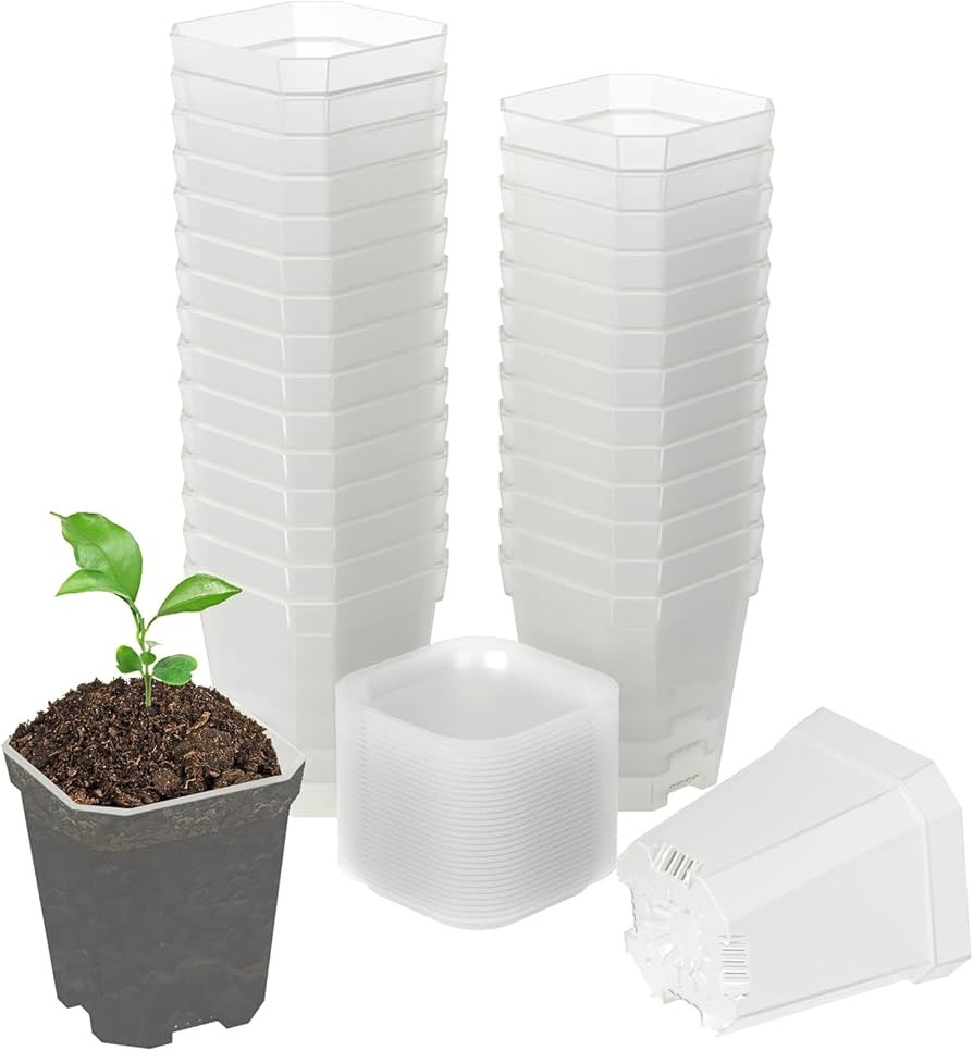 foxany 3" Clear Nursery Pots, 30 Pcs Thick Plastic Plant Pots, Square Flower Planting Pots, Seedl... | Amazon (US)