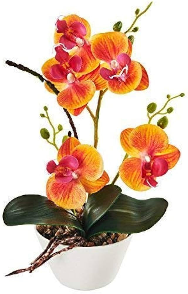 LOUHO Imiee Silk Flowers with Pot 31cm in Height Artificial Orchid Phalaenopsis Arrangement Flowe... | Amazon (UK)