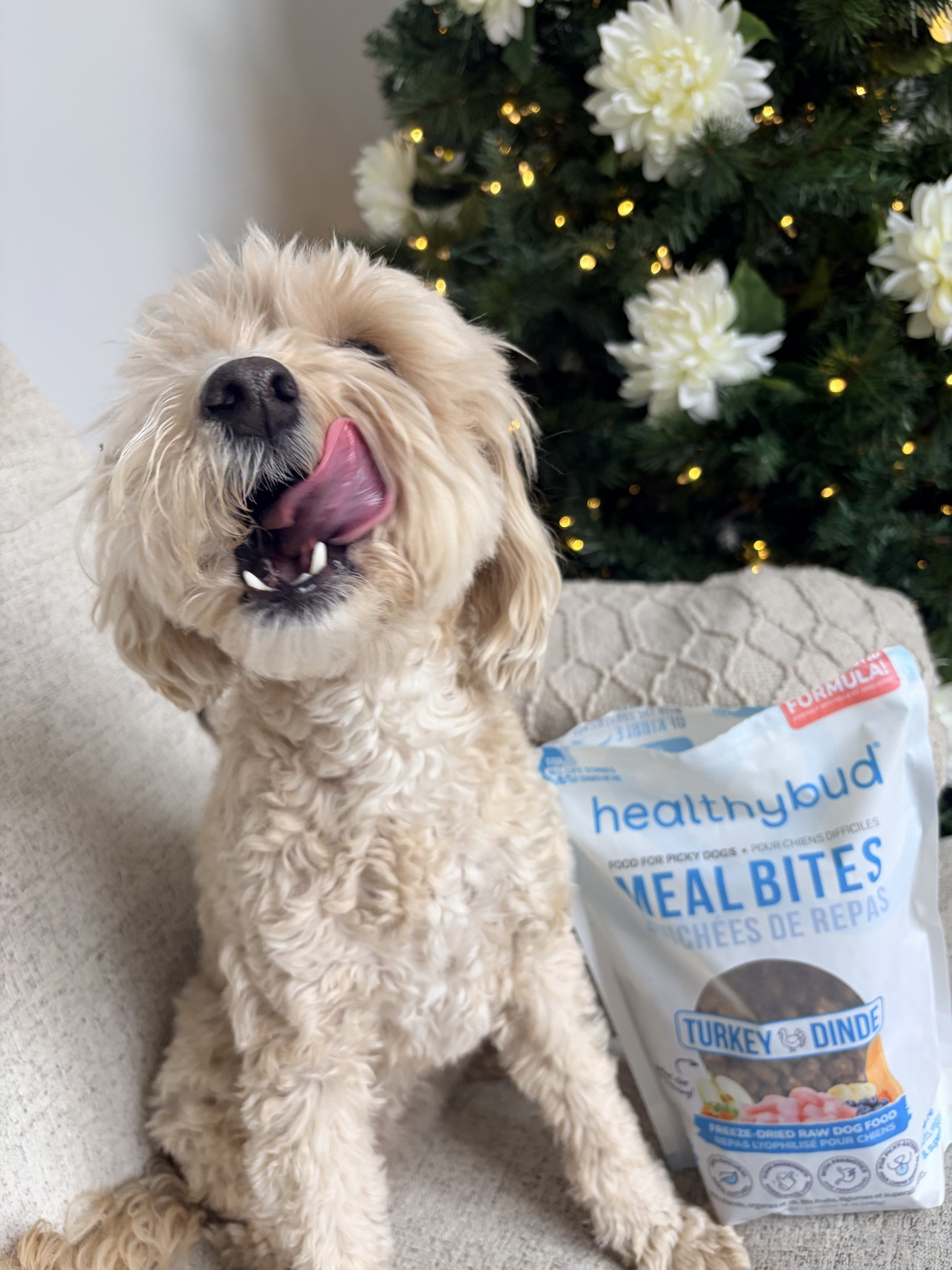 #LTKHoliday #LTKGiftGuide