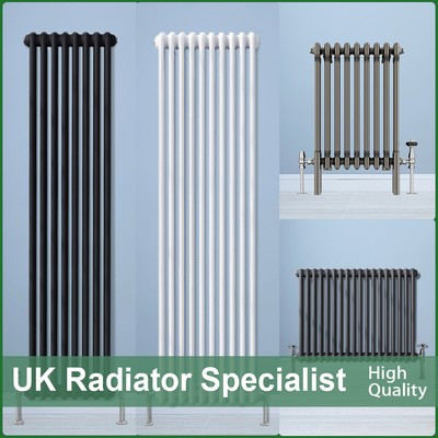Traditional 2 3 4 Column Radiator Vertical Horizontal Heating Cast Iron Style UK  | eBay | eBay UK
