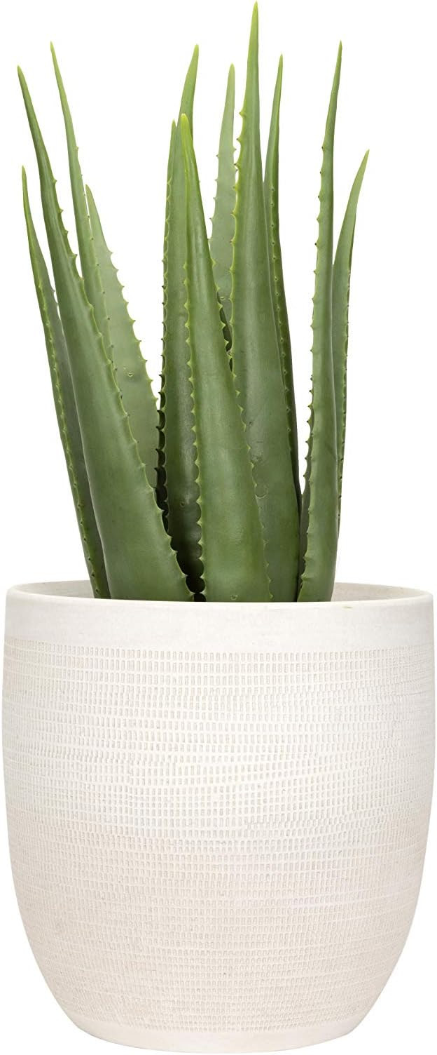 Creative Co-Op Large Matte White Embossed Stoneware Planter | Amazon (US)