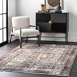 nuLOOM Charvi Distressed Medallion Fringe Area Rug, 3' 3" x 5', Multi | Amazon (US)