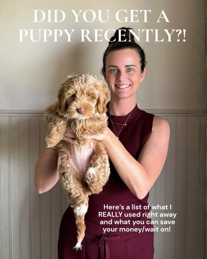 New puppy necessities 🐶🐶

#LTKFindsUnder100 #LTKFindsUnder50