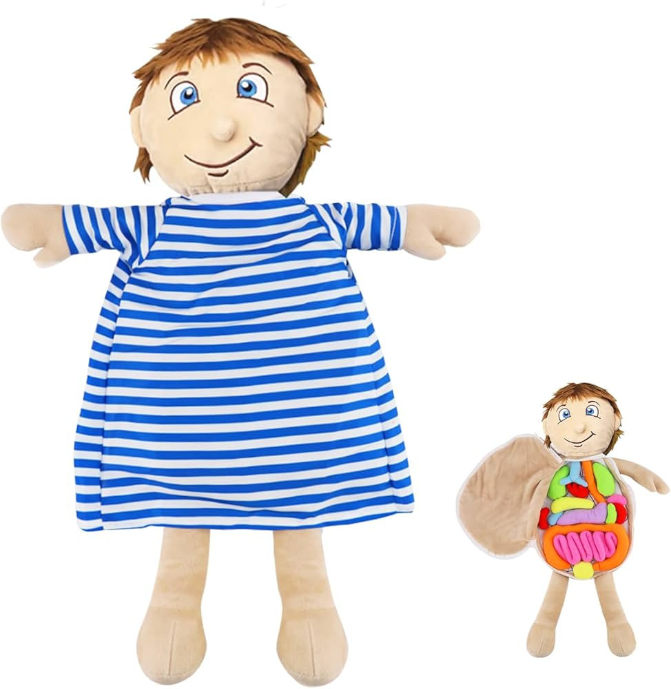vocheer Human Body Anatomy Toy, Montessori Preschool Educational Organ Plush Toys for Kids, Scien... | Amazon (US)