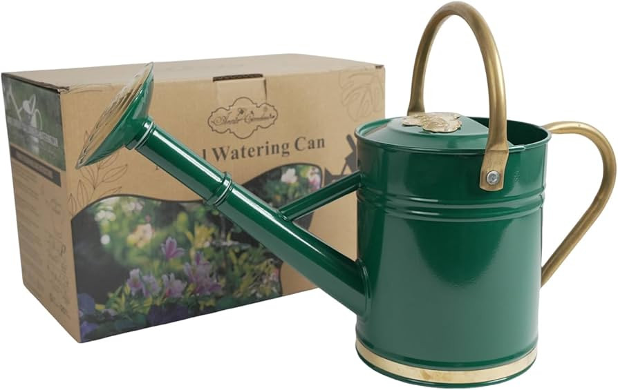 1 Gallon Galvanized Metal Watering Can with Solid Brass Sprout, Handle & Base Trim - Genuine Forg... | Amazon (US)