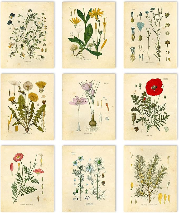 Vintage Botanical Prints | Wildflower Wall Art by Ink Inc. | Farmhouse Decor | Boho Design | Set ... | Amazon (US)