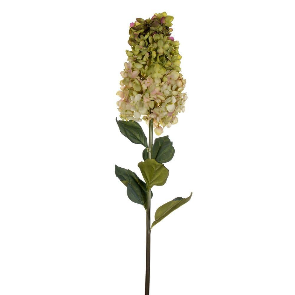 Vickerman 35.5" Light Green Artificial Cone Hydrangea Spray, 2 per Bag. | Amazon (US)